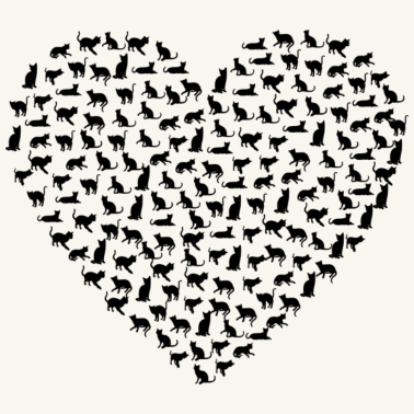 Motiv Katzen Herz