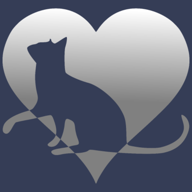 Motiv Katze Katze Katze Katze Katze Katze Mieze