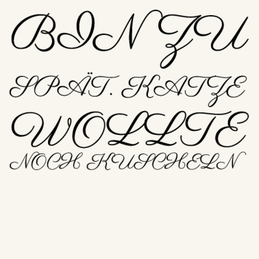 Motiv katze - Katze wollte kuscheln