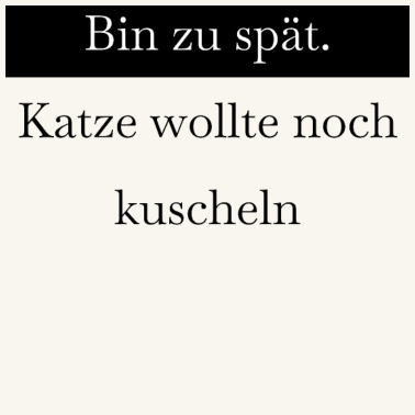 Motiv katze - Katze wollte kuscheln