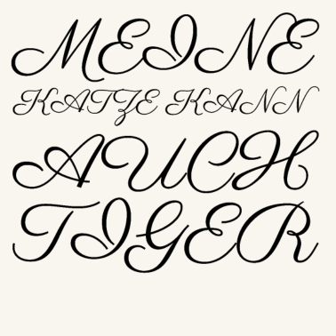 Motiv katze - meine Katze kann auch Tiger