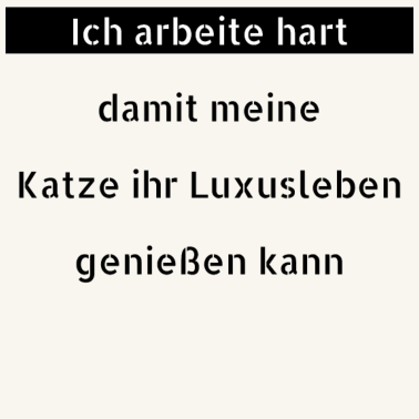 Motiv katze - Luxusleben einer Katze