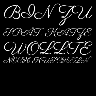 Motiv katze - Katze wollte kuscheln