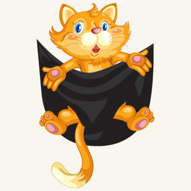 Motiv Katze Katze in der Tasche