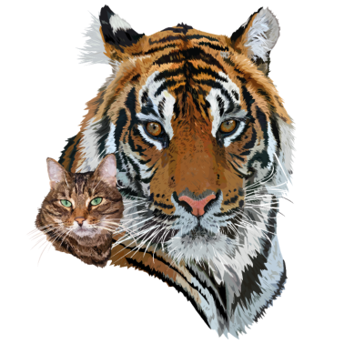 Motiv Tiger und Katze