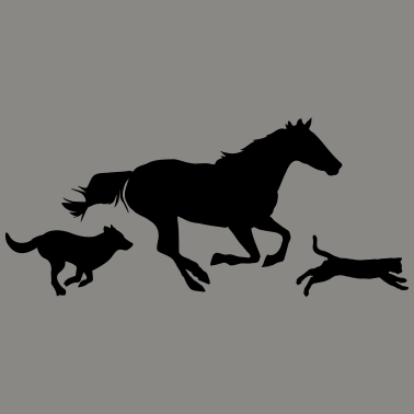 Motiv Pferd Katze Hund