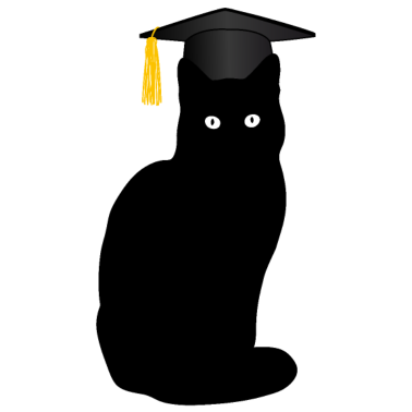 Motiv Bachelor Master Studium Abschluss Lustige Katze