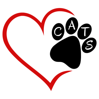 Motiv Katze Katzen Herz Pfote Haustier Tiere Cat Cats