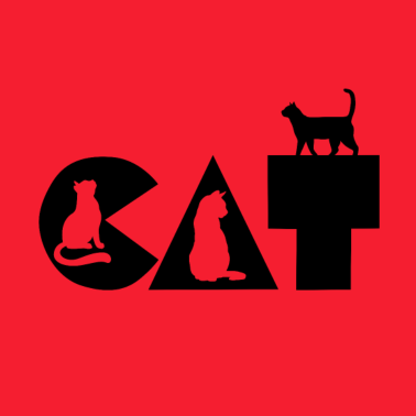 Motiv Katze Katze Katze...Katzen überall