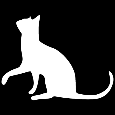 Motiv Katze Katze Katze Katze Katze Katze Mieze Pfote