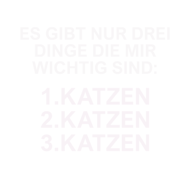Motiv Katzen,Katzen,Katzen