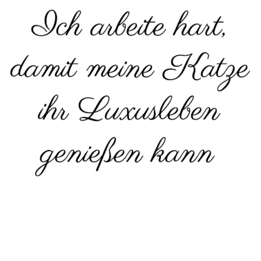 Motiv katze - Luxusleben einer Katze
