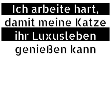 Motiv katze - Luxusleben einer Katze