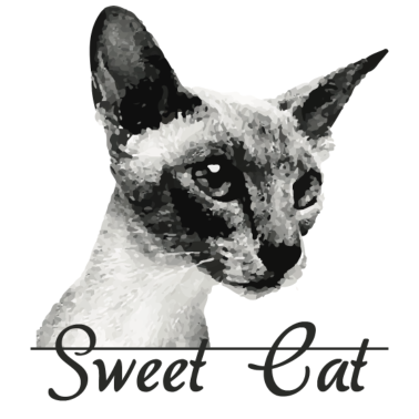 Motiv Süße Katze Katze