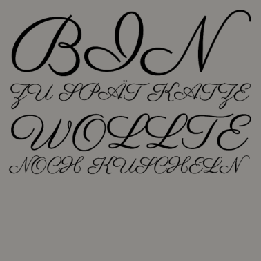 Motiv katze - Katze wollte kuscheln