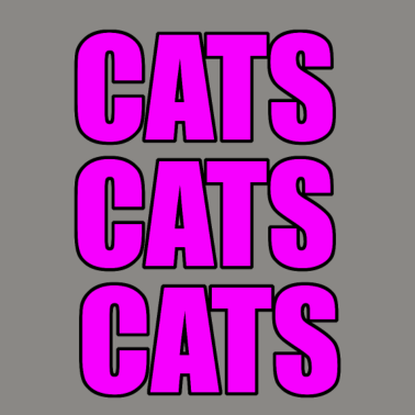 Motiv Katze Katze Katze