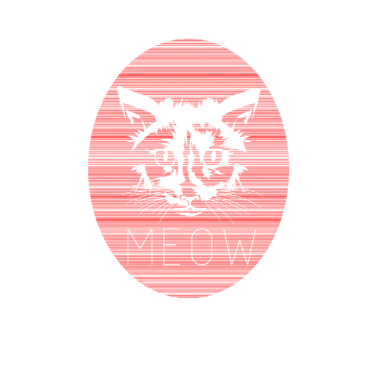 Motiv Katze Katzen Kopf