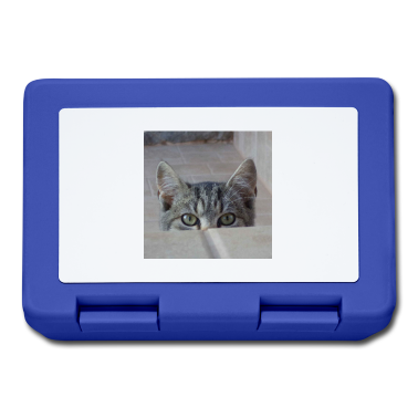 Katzen Brotdose - Schauen Sie sich ein Boo-Kätzchen an