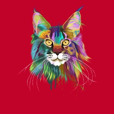 Motiv Maine coon Katze