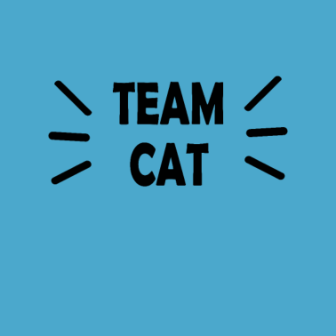 Motiv Team Katzen