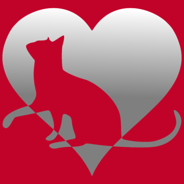 Motiv Katze Katze Katze Katze Katze Katze Mieze