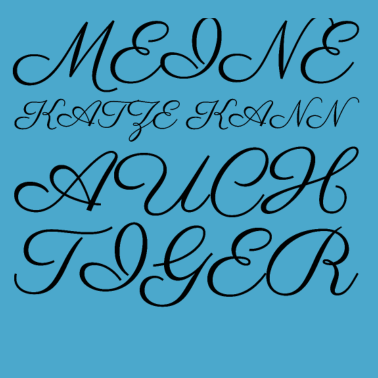 Motiv katze - meine Katze kann auch Tiger