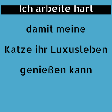 Motiv katze - Luxusleben einer Katze