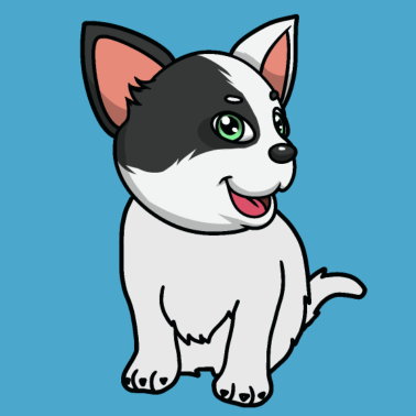 Motiv Katze Kätzchen Katzen