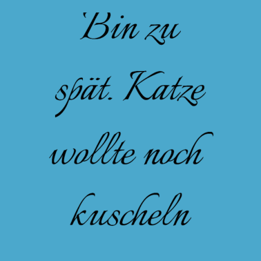 Motiv katze - Katze wollte kuscheln