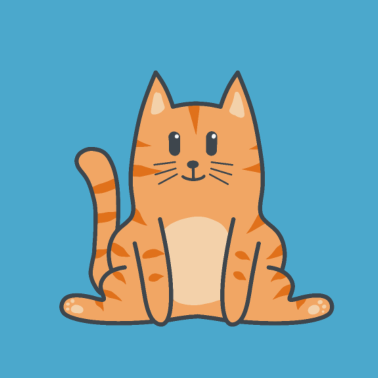 Motiv Katze Katzen Kitten