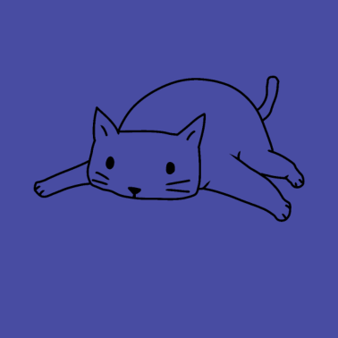 Motiv Katze Katzen Kitten