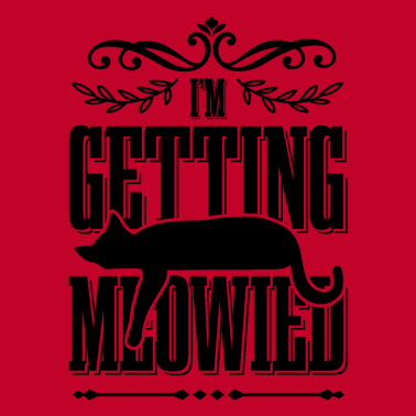 Motiv katze miau katzen