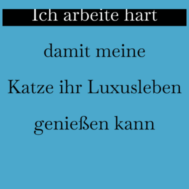 Motiv katze - Luxusleben einer Katze