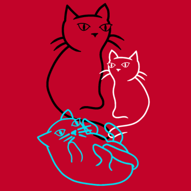 Motiv Katze Katzen Kitten