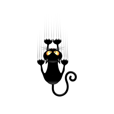 Motiv kratzende Katze