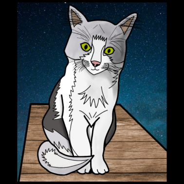 Motiv Katze im Weltraum