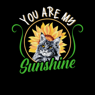 Motiv Katzensonnenschein