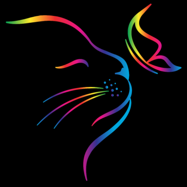 Motiv rainbow butterfly cat