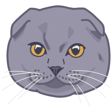 Motiv British Shorthair oder Scottish Fold Katze