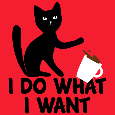 Motiv Katze Katzenfreund Shirt Geschenk zum Geburtstag