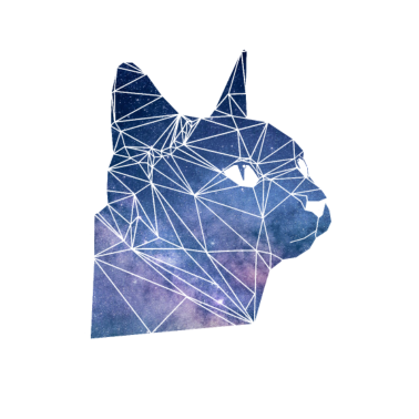 Motiv Galaxie Katze