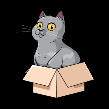 Motiv Britisch Kurzhaar Katze Karton