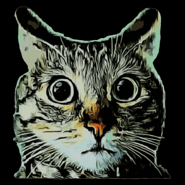 Motiv Niedliche Katze