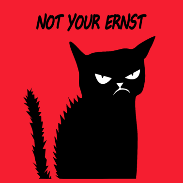 Motiv Not your Ernst Mürrisch Fun Katze Hasst Menschen