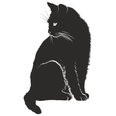 Motiv schwarze katze