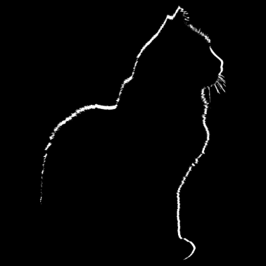 Motiv Katze Katzen Kitten Silhouette Grafik Geschenk