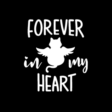 Motiv Katze tot Trauer emotional Geschenk Engel Himmel