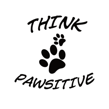 Motiv Katzen und Hunde