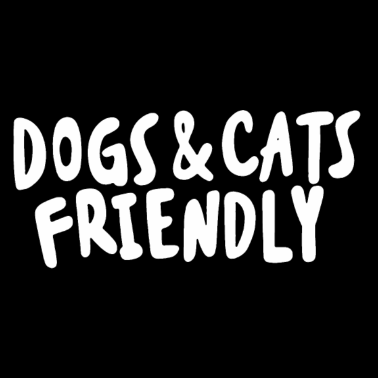 Motiv Hunde und Katzen