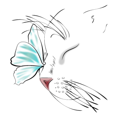 Motiv Schmetterlingskuss